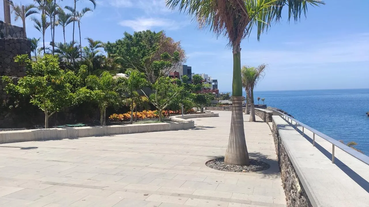 Agreable Appartement Au Bord De L' Ocean, Playa Paraiso Costa Adeje 0*,